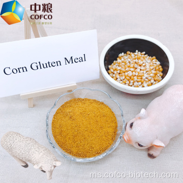 Makanan anjing makan gluten jagung